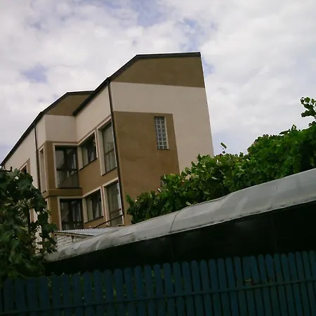 Pensiune Vila Silvia *